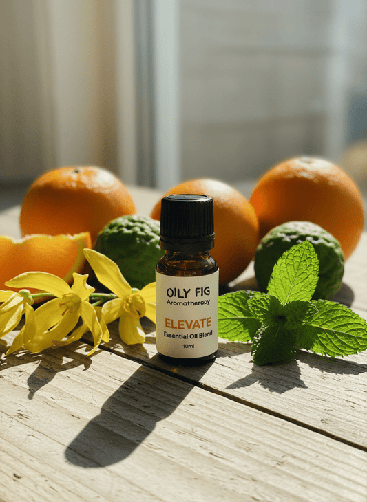 ELEVATE essential oil blend - Oily Fig Aromatherapy